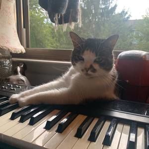 Meet your Posher, James